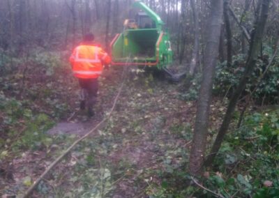 Tree thinning and clearance to correct woodland nature walk